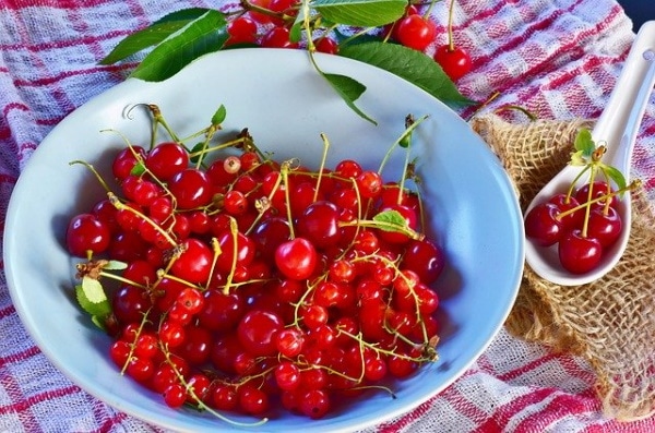 LES TARTES LES CERISES