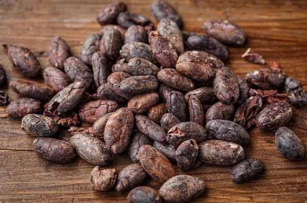Les frollini sablés au cacao Fiberpasta sont des sablés avec un IG de 45 vendus sur dans la boutique de Al'Origin.fr