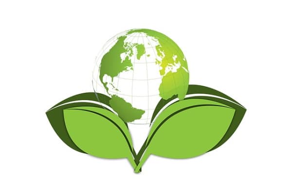 Impact écologique sur le Sucre de fleur de coco bio non raffiné VENDU sur Al'Origin.fr