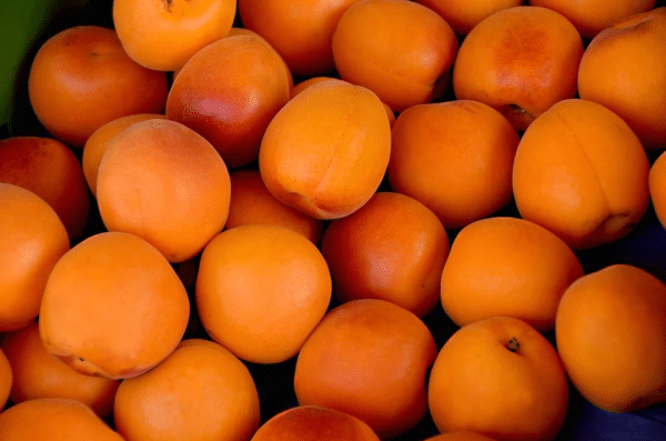 Cuajada aux fruits - Farine Fiberpasta IG 29 - Vendu chez al-origin.fr