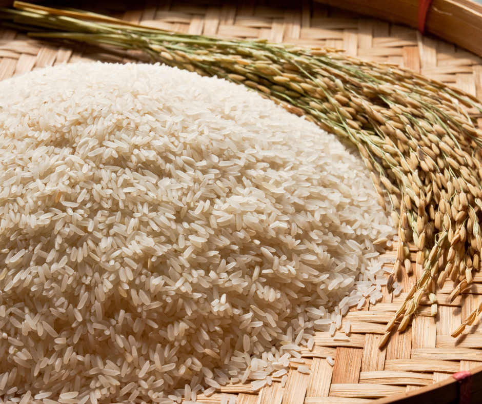 Les différents riz IG bas