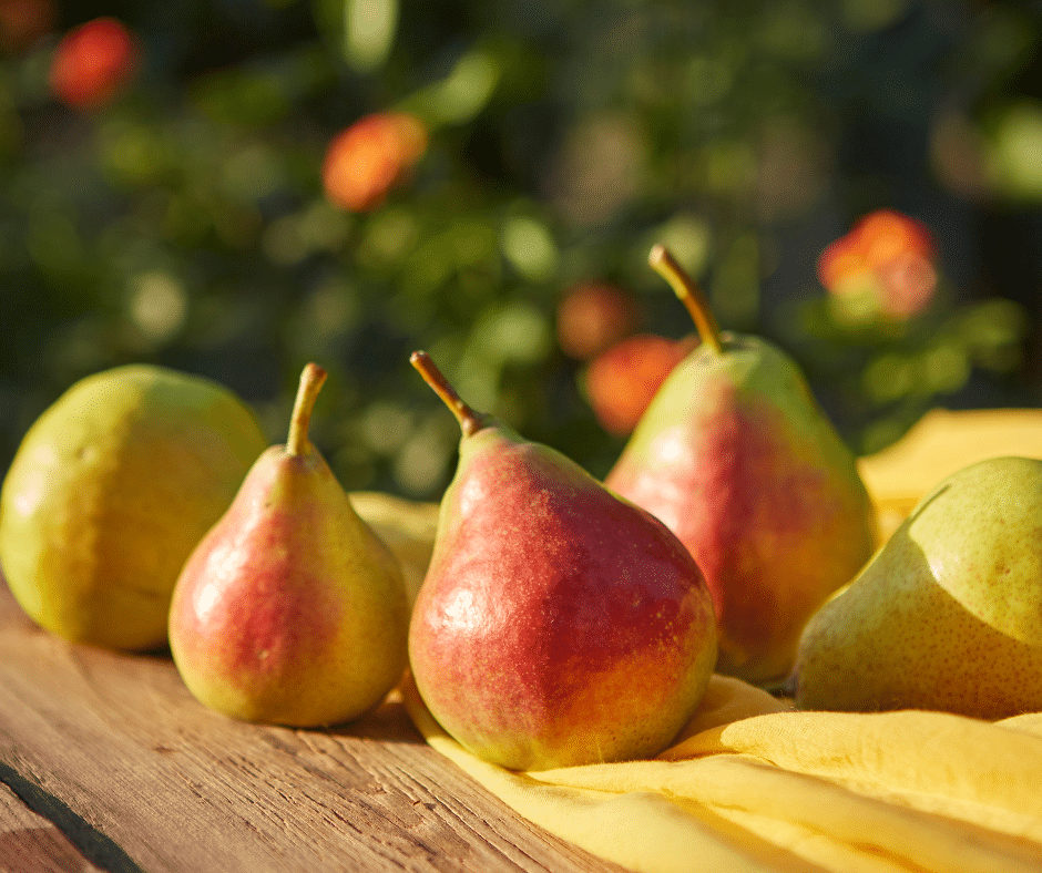 Le Gâteau Fruité