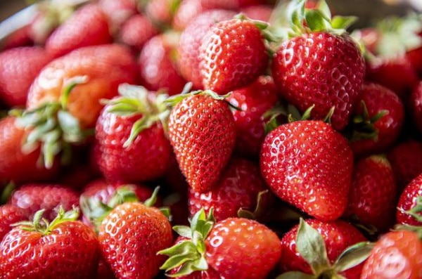 Fraises 100% issus de fruits