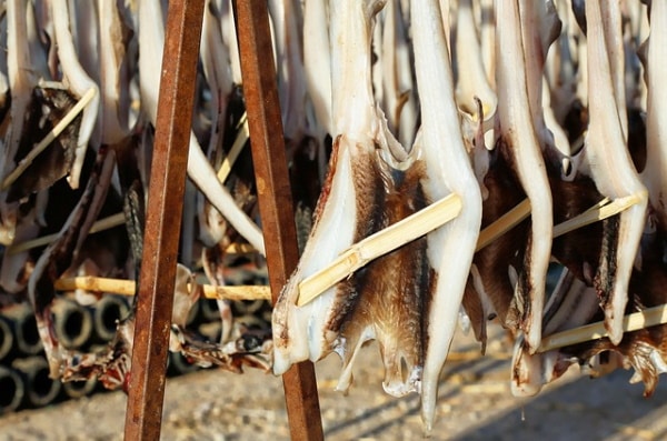 Croquettes de morue IG BAS- al'origin.fr